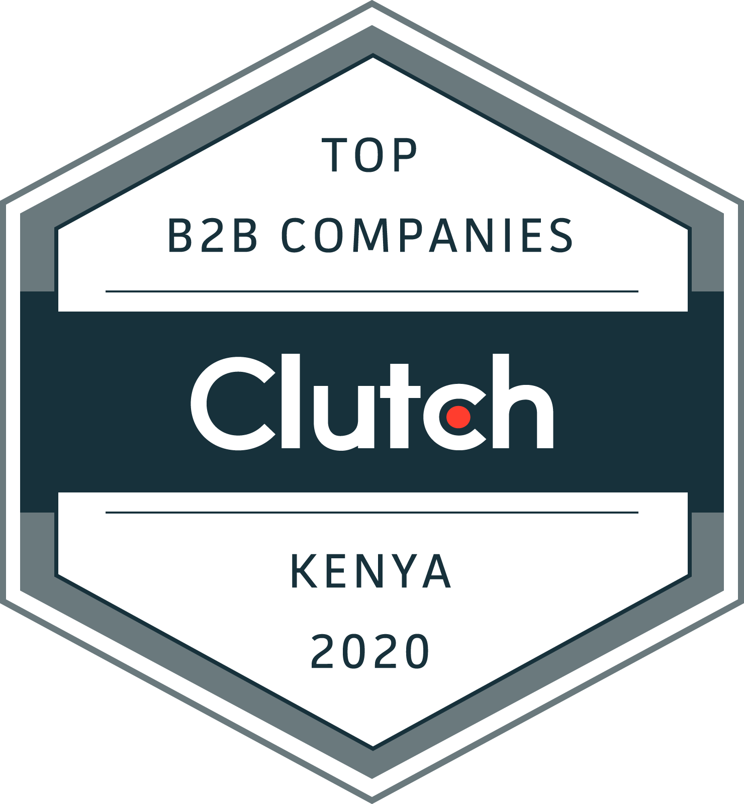 Clutch Awards WebPinn as The Best Developer in Kenya