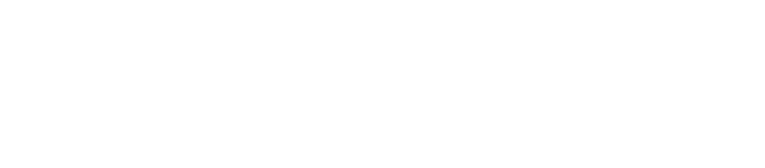 wazisoft